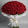101 Красная роза Блэк Мэджик в Больших Вяземах Букет 101 Красная роза Блэк Мэджик в Больших Вяземах