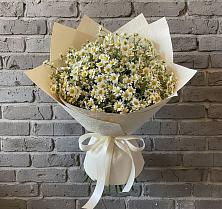 Букет Кустики радости в Больших Вяземах Букет цветов из:  Ромашки в Больших Вяземах